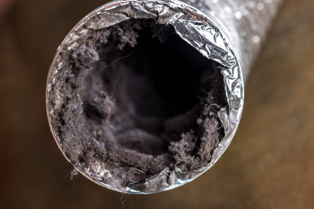 Best Local Air Duct Cleaning Services  in Gretna, FL