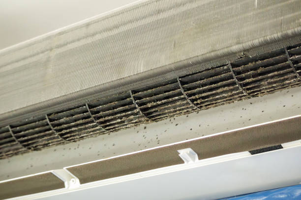 Best Best Air Duct Cleaning Company  in Gretna, FL